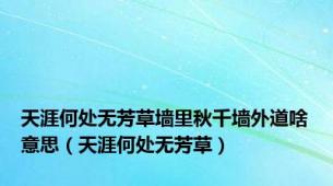 天涯何处无芳草墙里秋千墙外道啥意思（天涯何处无芳草）