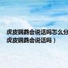 虎皮鹦鹉会说话吗怎么分公母（虎皮鹦鹉会说话吗）