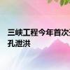 三峡工程今年首次开启9孔泄洪