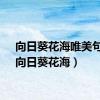 向日葵花海唯美句子（向日葵花海）
