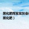 黑化肥挥发发灰会花飞（黑化肥）