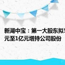 新湖中宝:第一大股东拟5000万元至1亿元增持公司股份