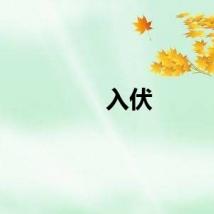 入伏