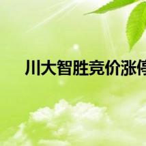 川大智胜竞价涨停