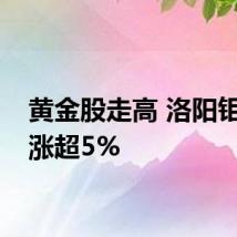黄金股走高 洛阳钼业等涨超5%