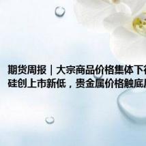 期货周报｜大宗商品价格集体下行，工业硅创上市新低，贵金属价格触底反弹