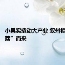 小果实撬动大产业 叙州樟海等“荔”而来