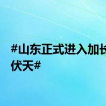 #山东正式进入加长版三伏天#