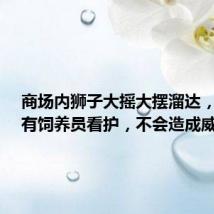 商场内狮子大摇大摆溜达，商家：有饲养员看护，不会造成威胁