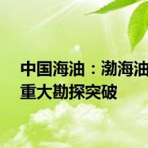 中国海油：渤海油田获重大勘探突破