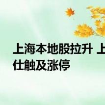 上海本地股拉升 上海雅仕触及涨停