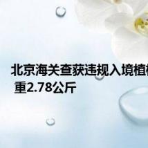北京海关查获违规入境植株12株 重2.78公斤