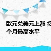 欧元兑美元上涨 接近四个月最高水平