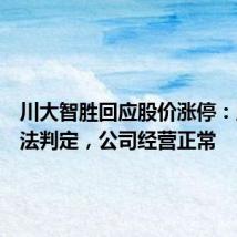 川大智胜回应股价涨停:原因没法判定,公司经营正常