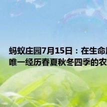 蚂蚁庄园7月15日:在生命周期中唯一经历春夏秋冬四季的农作物是
