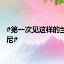 #第一次见这样的兰博基尼#