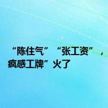 “陈住气”“张工资”,“00后疯感工牌”火了