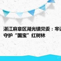 湛江麻章区湖光镇党委：牢记嘱托，守护“国宝”红树林