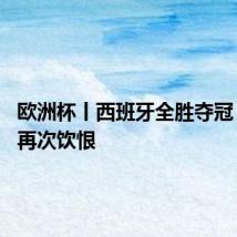 欧洲杯丨西班牙全胜夺冠 英格兰再次饮恨