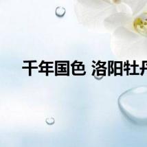 千年国色 洛阳牡丹