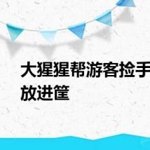 大猩猩帮游客捡手机还放进筐