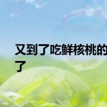 又到了吃鲜核桃的季节了