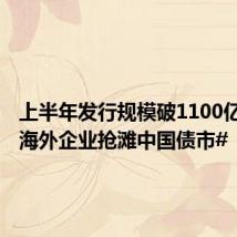 上半年发行规模破1100亿元,#海外企业抢滩中国债市#