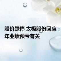 股价跌停 太极股份回应：与上半年业绩预亏有关