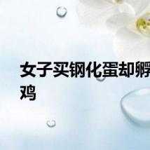 女子买钢化蛋却孵出小鸡