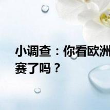 小调查：你看欧洲杯决赛了吗？
