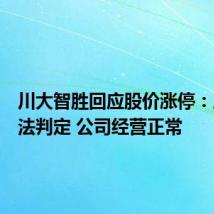川大智胜回应股价涨停:原因没法判定 公司经营正常