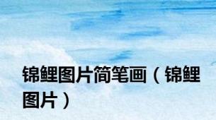 锦鲤图片简笔画（锦鲤图片）