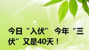 今日“入伏” 今年“三伏”又是40天！