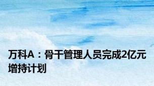 万科A：骨干管理人员完成2亿元增持计划