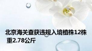 北京海关查获违规入境植株12株 重2.78公斤