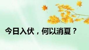 今日入伏，何以消夏？