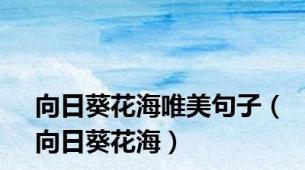 向日葵花海唯美句子（向日葵花海）