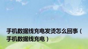 手机数据线充电发烫怎么回事（手机数据线充电）