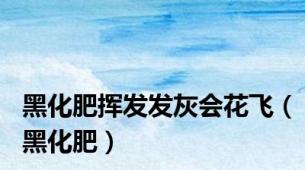 黑化肥挥发发灰会花飞（黑化肥）