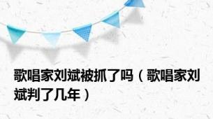 歌唱家刘斌被抓了吗（歌唱家刘斌判了几年）