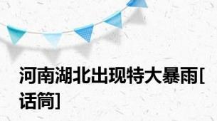 河南湖北出现特大暴雨[话筒]