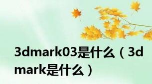 3dmark03是什么（3dmark是什么）