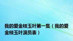 我的爱金枝玉叶第一集（我的爱金枝玉叶演员表）