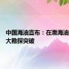中国海油宣布：在渤海油田获重大勘探突破