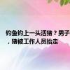 钓鱼钓上一头活猪？男子报警后，猪被工作人员抬走