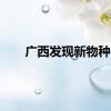 广西发现新物种