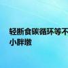 轻断食碳循环等不适合小胖墩