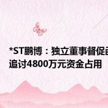 *ST鹏博：独立董事督促函 要求追讨4800万元资金占用