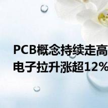 PCB概念持续走高 则成电子拉升涨超12%