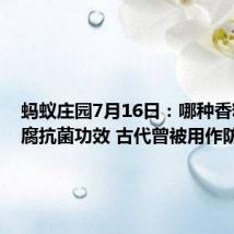 蚂蚁庄园7月16日:哪种香料有防腐抗菌功效 古代曾被用作防腐剂